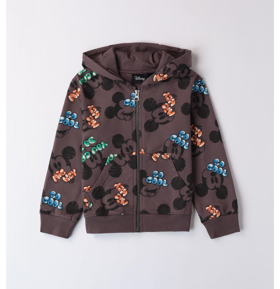 Felpa Sarabanda Bimbo Grigia A350