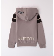 Felpa Grigia Ducati con cappuccio 242GA61200